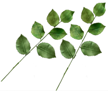 A Pair of Edible Sugar Trail Spray of Green Leaves; Veined and Wired; Wedding/Anniversary, Christmas, Birthday Etc. Handmade Toppers/Decorations -Free & Fast Shipping-