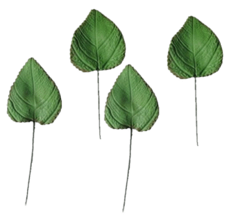 x4 Large Edible Sugar Fondant Sunflower Leaves; Veined and Wired; 8cm; Wedding/Anniversary, Christmas, Birthday Etc. Handmade Cake Toppers/Decorations -Free Shipping