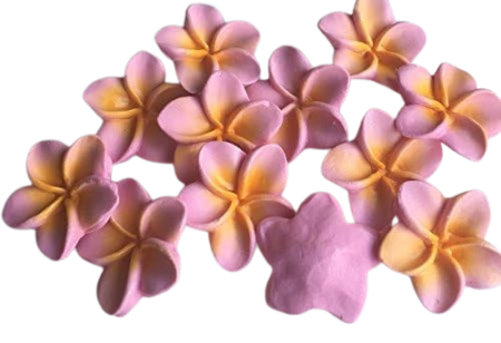 6 Large Pink Beautiful Edible Sugar Fondant Plumeria Flowers (frangpini); Yellow Highlighted Center ; 4.6cm; Handmade Cake/Cupcake Toppers/Decorations -Free & Fast Shipping