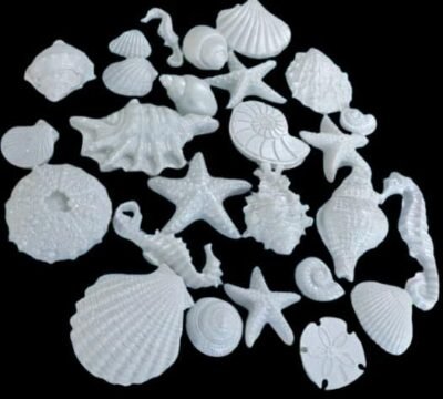 24 Large Gorgeous Assorted Edible Sugar Fondant Sea Shells, Horses & Star Fishes; Pearl White Lustre; 7cm to 3.5cm; Mermaid, Beach Theme Wedding, Birthday, Christmas etc Cake/Cupcake Toppers/Decoration- Free & Fast Shipping