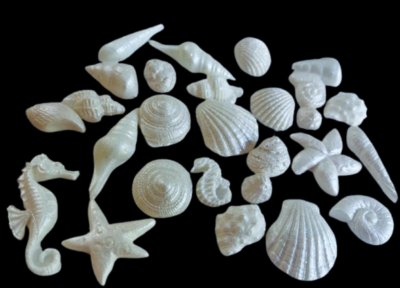 24 Stunning Edible Sugar Fondant Sea Shells, Starfish & Octopus; Lustre Brilliant Pastel Colour Mix; 3.8cm to 1.3cm; Mermaid, Beach Theme Wedding, Birthday, Christmas etc Cake/Cupcake Toppers/Decoration- Free & Fast Shipping - Image 6