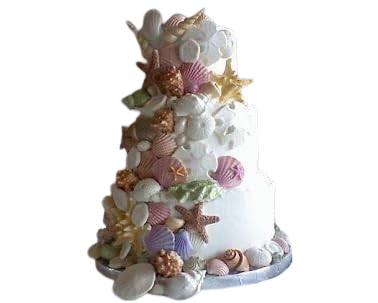 24 Large Gorgeous Assorted Edible Sugar Fondant Sea Shells, Horses & Star Fishes; Pastel Colours; 7cm to 3.5cm; Mermaid, Beach Theme Wedding, Birthday, Christmas etc Cake/Cupcake Toppers/Decoration- Free & Fast Shipping - Image 2
