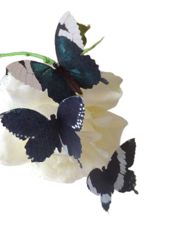 15 lovely Pre-cut Large Edible Butterflies; 3D; Black; 5.2cm Each Wafer Paper Birthday, Wedding Etc Cake/Cupcake Topper/Decoration