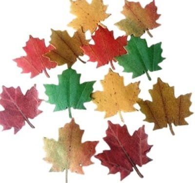 12 Beautiful Pre-cut Large Edible Maple Leaves (3D multi-tone assorted fall leaves); 6cm wide Wafer Paper Cakes/Cupcakes Toppers/decorations -Free & Fast Next Day Shipping