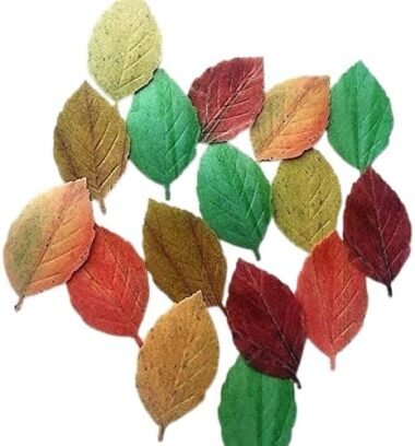 15 Beautiful Pre-cut Edible Rose Leaves; (3D Wafer Paper Multi-Tone Fall Leaves with Vein); 6cm Each; Cakes/Cupcakes Toppers/decorations -Free & Fast Next Day Shipping