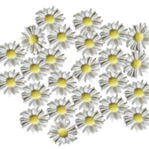 24 Beautiful Edible Sugar Daisy Flowers 2.5cm White/yellow or choose colour Handmade Wedding Birthday, Etc Cake/Cupcake Toppers/Decorations -Free & Fast Shipping