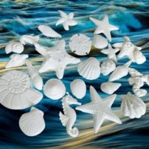 26 Beautiful Edible Sugar Fondant Assorted Sea Shells, Star Fishes & Horse 5.5cm to 2cm; Lustre Pearl White; Mermaid, Beach Theme Wedding, Birthday, Christmas etc Cake/Cupcake Toppers / Decoration- Free & Fast Shipping