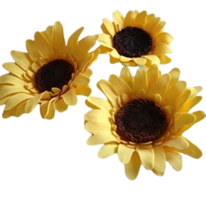 Gorgeous Edible Sugar Gum Paste Sunflower (3D Wired); Large-XLarge Available, Handmade Cake/Cupcake Birthday, Wedding/Anniversary, Easter, Etc Cake Topper/Decoration -Free Shipping