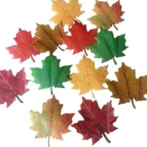 12 Beautiful Pre-cut Large Edible Maple Leaves (3D multi-tone assorted fall leaves); 6cm wide Wafer Paper Cakes/Cupcakes Toppers/decorations -Free & Fast Next Day Shipping