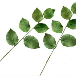 A Pair of Edible Sugar Trail Spray of Green Leaves; Veined and Wired; Wedding/Anniversary, Christmas, Birthday Etc. Handmade Toppers/Decorations -Free & Fast Shipping-