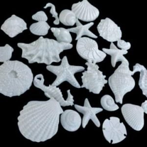 24 Large Gorgeous Assorted Edible Sugar Fondant Sea Shells, Horses & Star Fishes; Pearl White Lustre; 7cm to 3.5cm; Mermaid, Beach Theme Wedding, Birthday, Christmas etc Cake/Cupcake Toppers/Decoration- Free & Fast Shipping