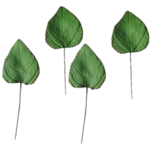 x4 Large Edible Sugar Fondant Sunflower Leaves; Veined and Wired; 8cm; Wedding/Anniversary, Christmas, Birthday Etc. Handmade Cake Toppers/Decorations  -Free Shipping