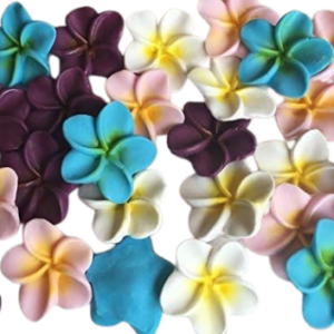 12 Large Beautiful Edible Sugar Fondant Plumeria Flowers (frangpini); Yellow Highlighted Center ; 4.6cm; Handmade Cake/Cupcake Toppers/Decorations -Free & Fast Shipping