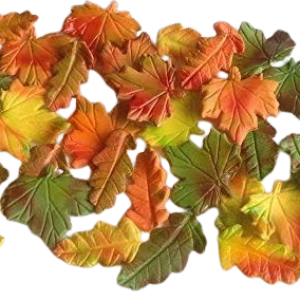 30 Beautiful Edible Sugar Maple & Oak Leaves (multi-tone Autumn assorted fall leaves) 3D Handmade Wedding/Anniversary, Birthday, Etc Cake/Cupcake topper/decorations -Free & Fast Shipping