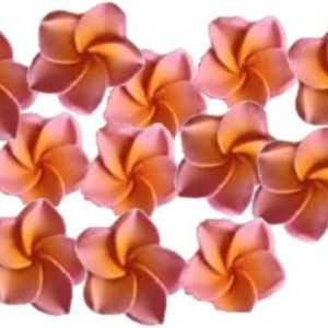 12 Pink Beautiful Edible Sugar Fondant Plumeria Flowers (frangpini); Yellow Highlighted Center ; 3cm; Handmade Cake/Cupcake Toppers/Decorations -Free & Fast Shipping