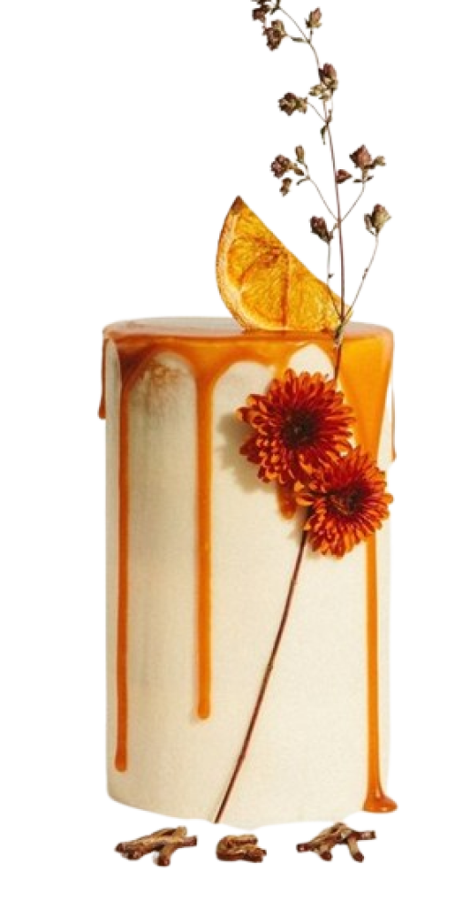 cake2-1-removebg-preview