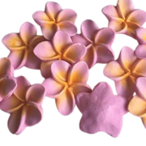 6 Large Pink Beautiful Edible Sugar Fondant Plumeria Flowers (frangpini); Yellow Highlighted Center ; 4.6cm; Handmade Cake/Cupcake Toppers/Decorations -Free & Fast Shipping
